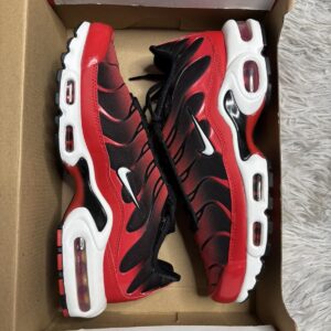 Nike Air Max Plus TN