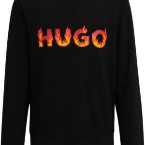 Hugo duks